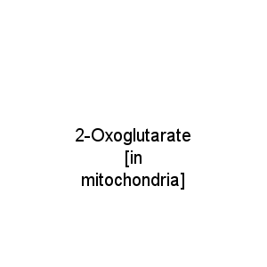 2-Oxoglutarate [in mitochondria]